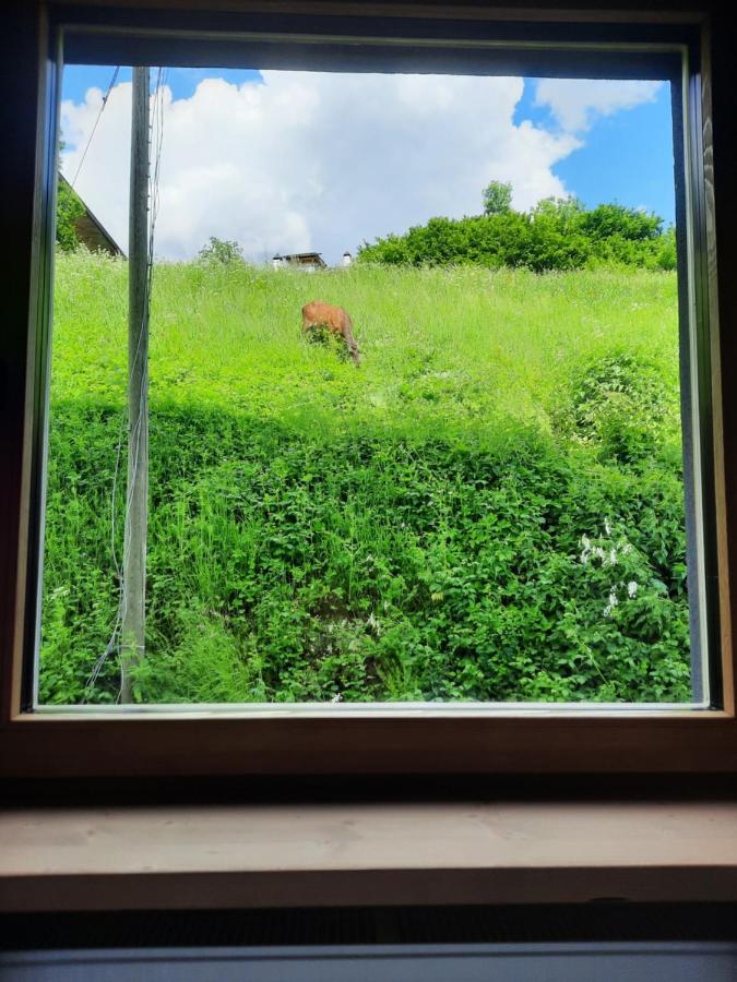Aparthotel Ama Dolomiti Vigo di Cadore Exteriér fotografie